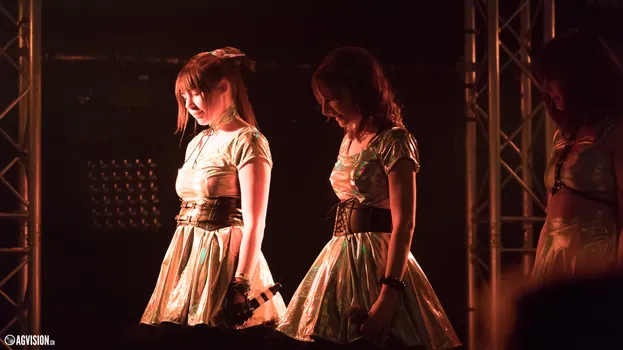 Copyright : AGVision