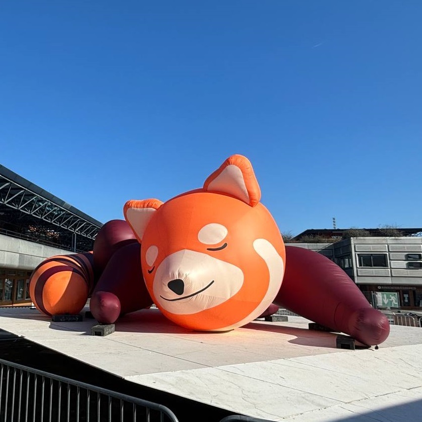 Raï - Le panda roux